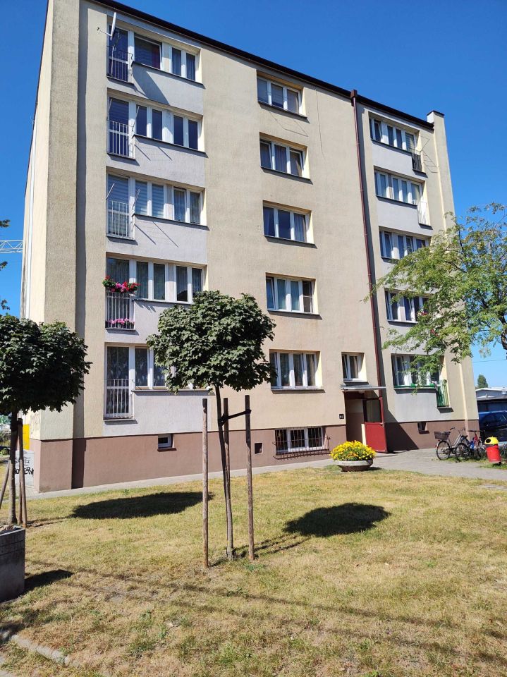 Mieszkanie 2-pokojowe Skierniewice Centrum, ul. Jana III Sobieskiego. Zdjęcie 2