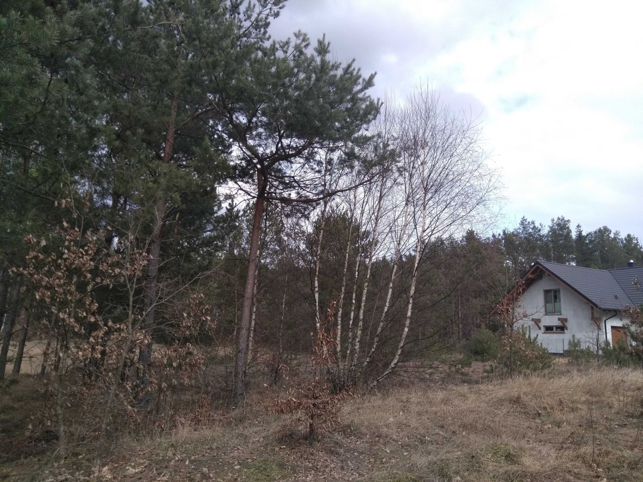 Działka rekreacyjna Gostomie. Zdjęcie 5