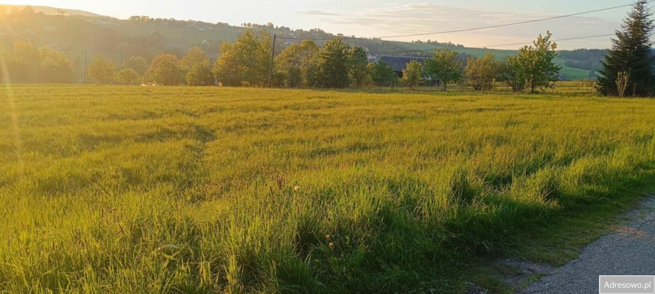 Działka budowlana Stara Wieś. Zdjęcie 3