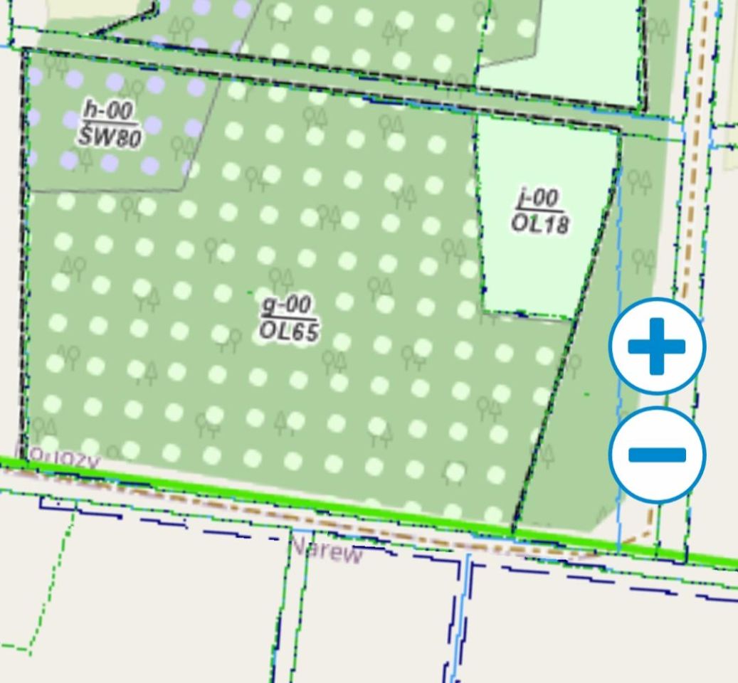 Działka leśna Iwanki Rohozy. Zdjęcie 5