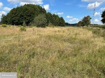 Działka budowlana Sadowie. Zdjęcie 1