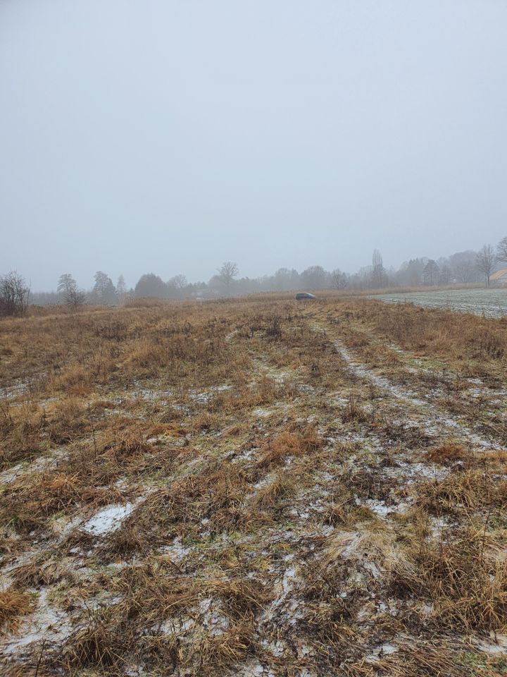 Działka rolno-budowlana Żenichów. Zdjęcie 9