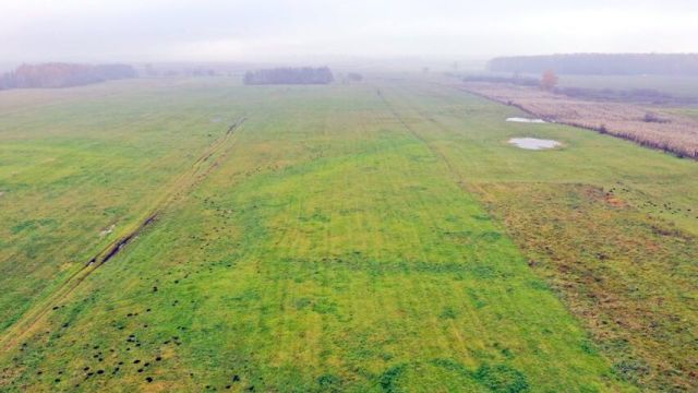 Działka rolna Siedliska. Zdjęcie 5