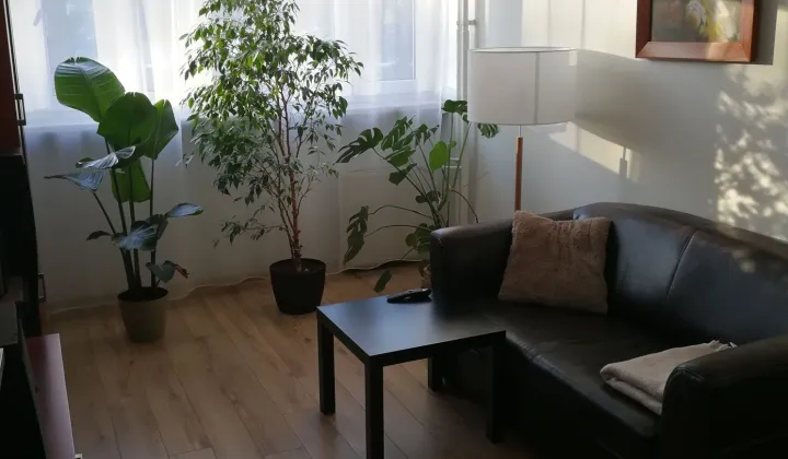 Mieszkanie 2-pokojowe Lubin, ul. Jana Kilińskiego