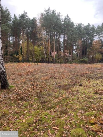 Działka budowlana Warszawa Międzylesie, ul. Dzięgielowa. Zdjęcie 1