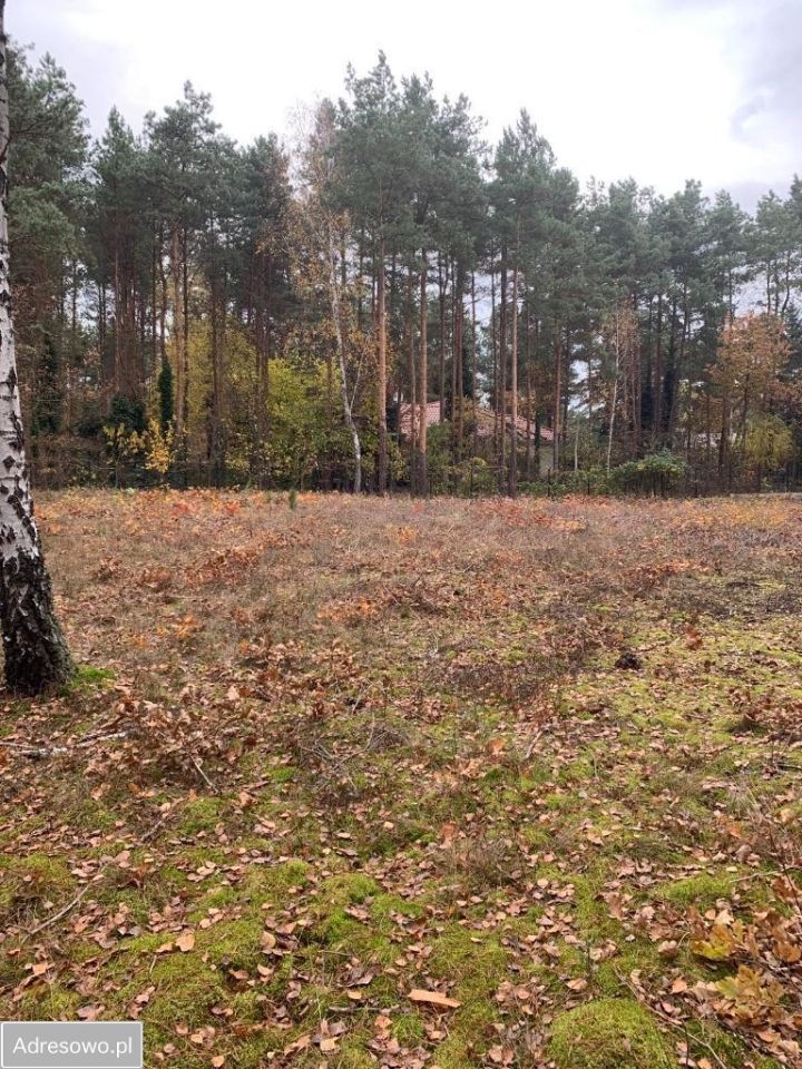 Działka budowlana Warszawa Międzylesie, ul. Dzięgielowa
