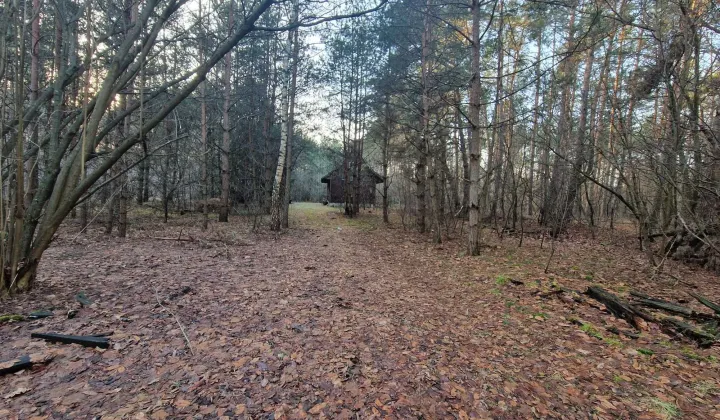 Działka budowlana Okuninka