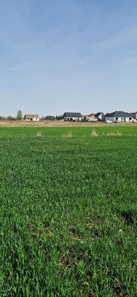 Działka rolno-budowlana Przedecz, ul. Kolonia nad Jeziorem