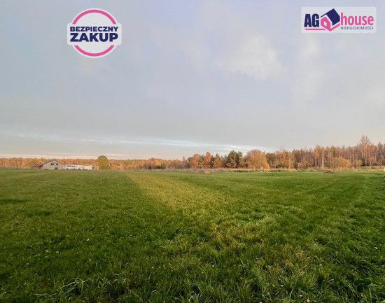 Działka inwestycyjna Pomlewo, ul. Kasztanowa. Zdjęcie 2