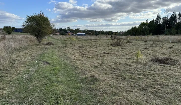 Działka rolna Romany