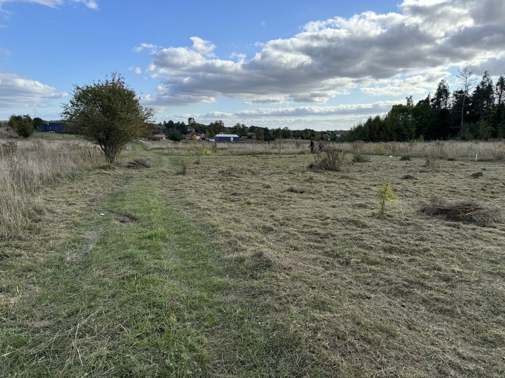 Działka rolna Romany