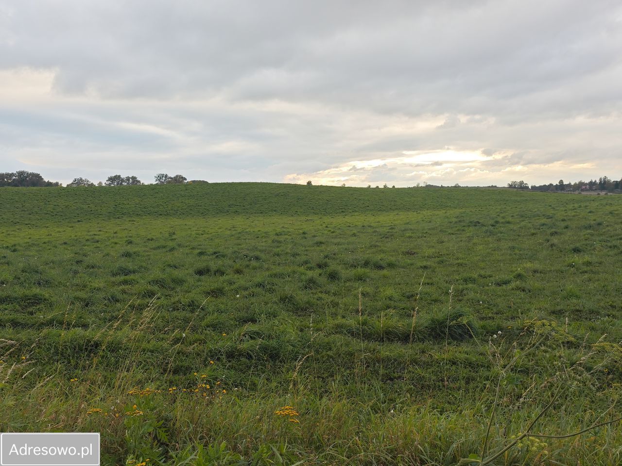 Działka rolna Wysoka Góra. Zdjęcie 4