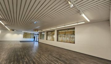 Nieruchomość komercyjna Poznań Nowe Miasto, os. Stare Żegrze