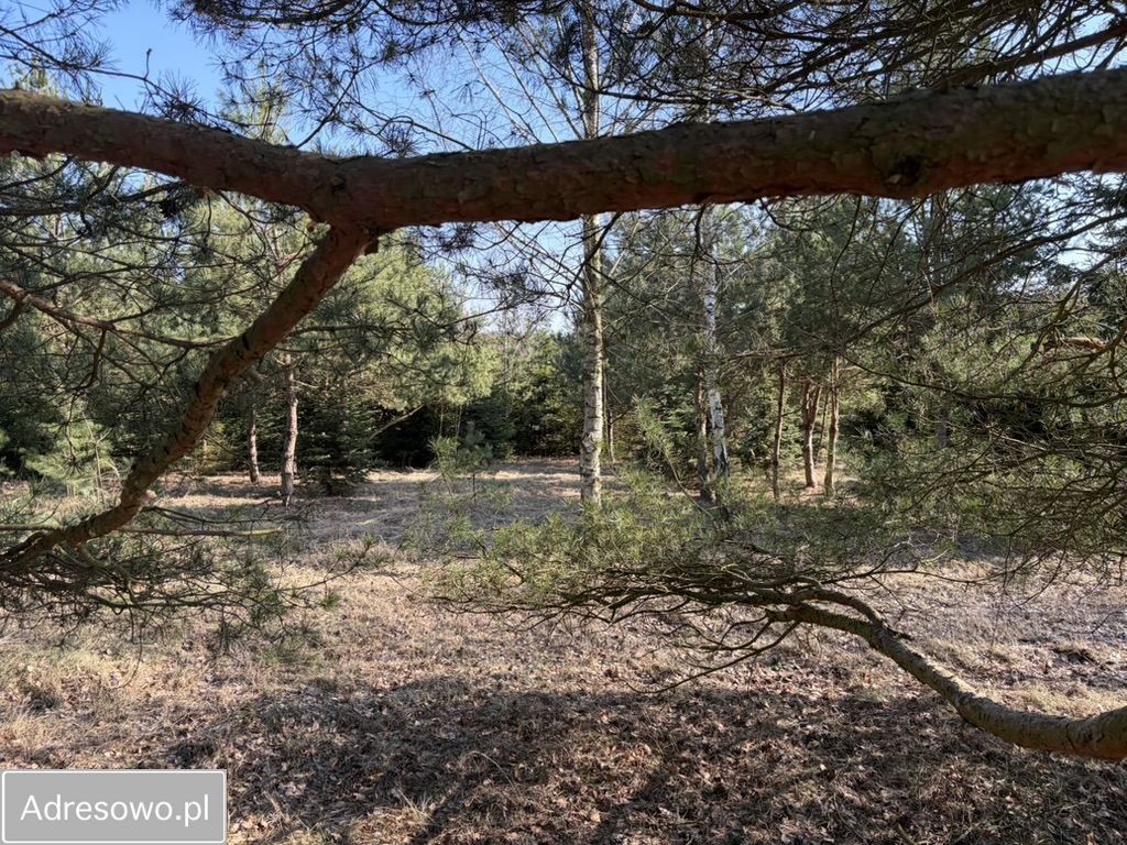 Działka budowlana Przykory. Zdjęcie 6