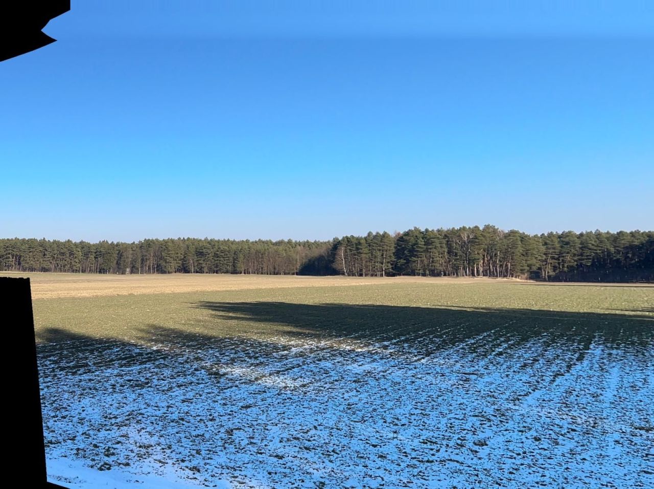 Działka rolna Dąbrówka. Zdjęcie 8