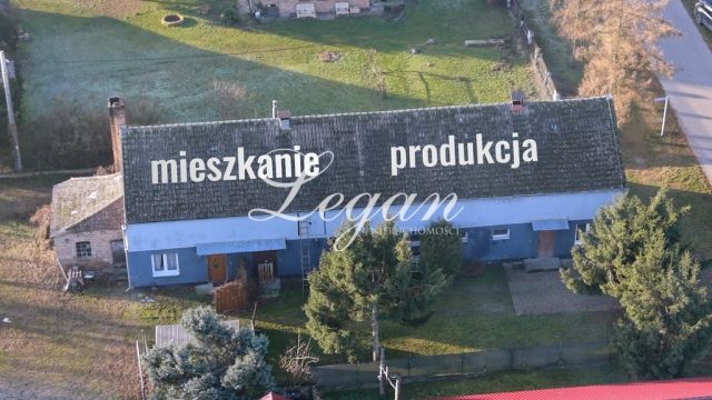 Hala/magazyn Stare Polichno. Zdjęcie 1