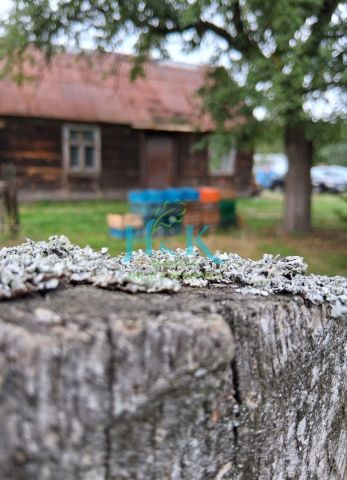 dom, 2 pokoje Zwoleń. Zdjęcie 6