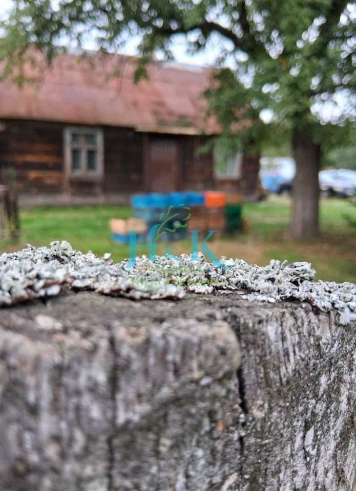 dom, 2 pokoje Zwoleń. Zdjęcie 6