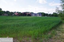 Działka budowlana Zawonia, ul. Szkolna. Zdjęcie 2