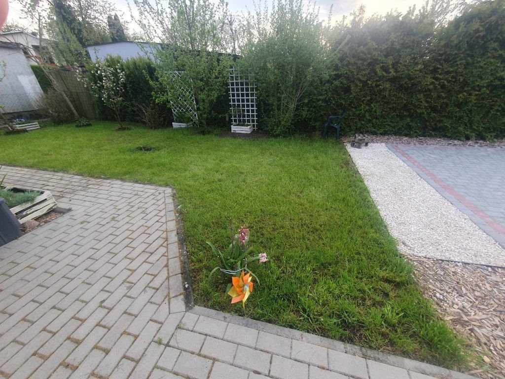 Działka rod Gniezno Winiary. Zdjęcie 2