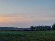 Działka rolna Karwieńskie Błoto Drugie. Zdjęcie 1