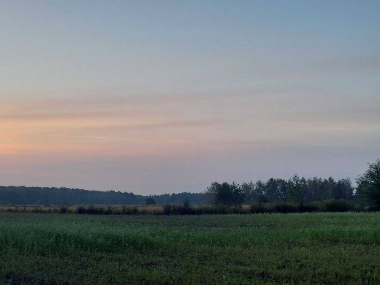 Działka rolna Karwieńskie Błoto Drugie. Zdjęcie 2