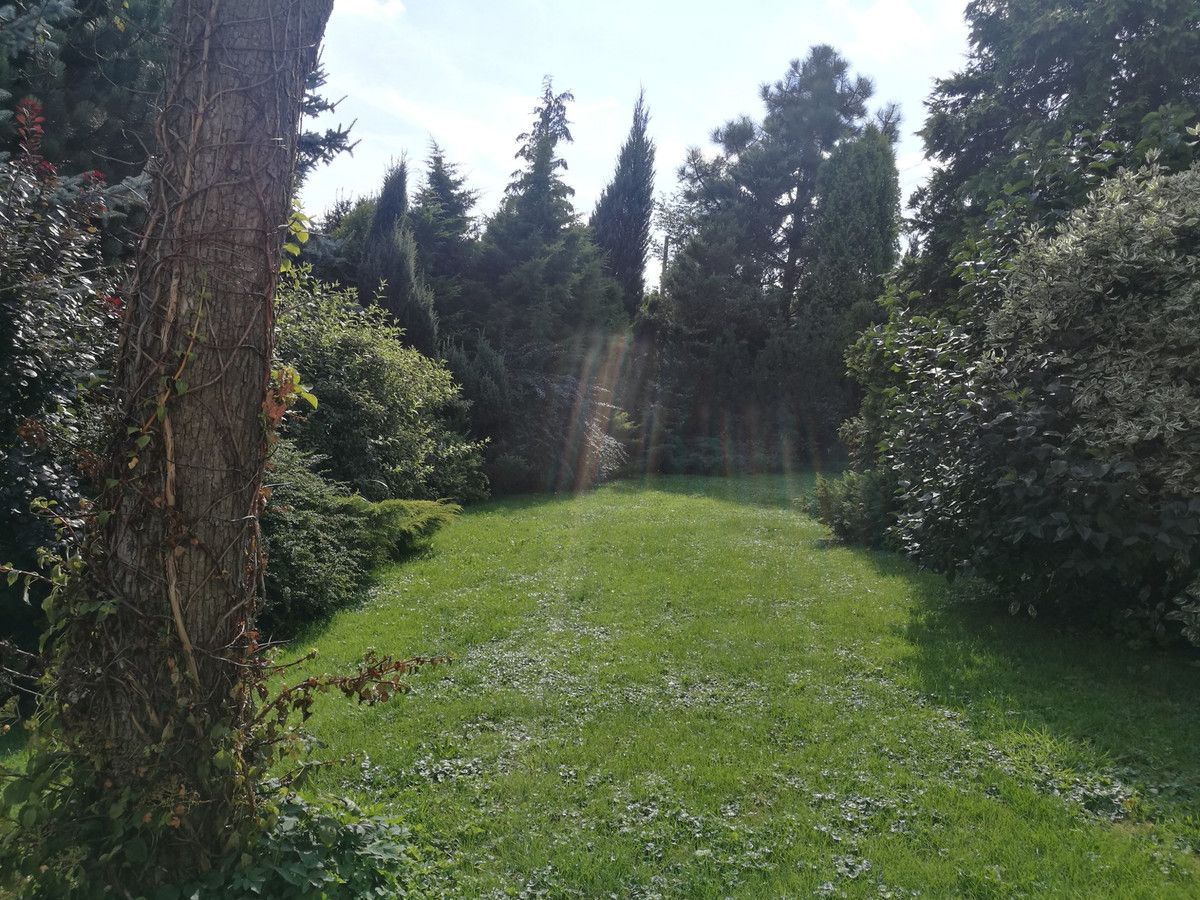 Działka budowlana Lipinki. Zdjęcie 12