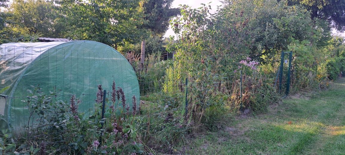 Działka rod Lublin, ul. Nałęczowska. Zdjęcie 2