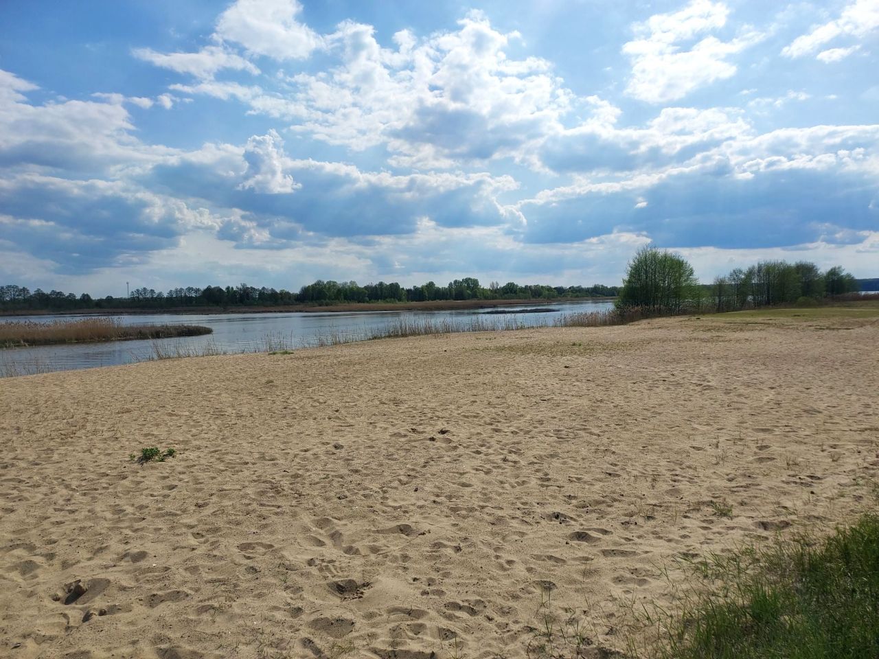 Działka rekreacyjna Cupel, ul. Działkowa. Zdjęcie 5