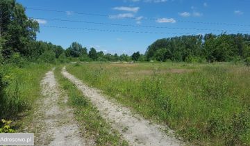 Działka inwestycyjna Brwinów, ul. Obwodnica
