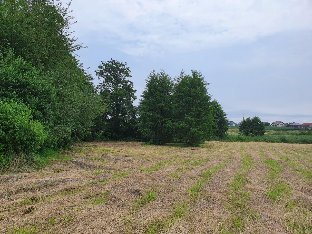 Działka rolna Głęboka. Zdjęcie 15