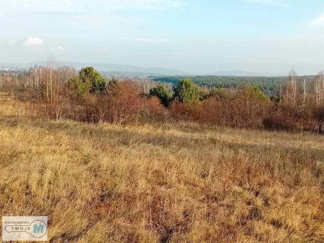 Działka inwestycyjna Daleszyce. Zdjęcie 5