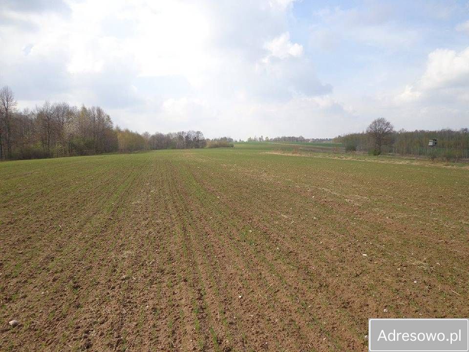 Działka rolna Niwnice. Zdjęcie 7