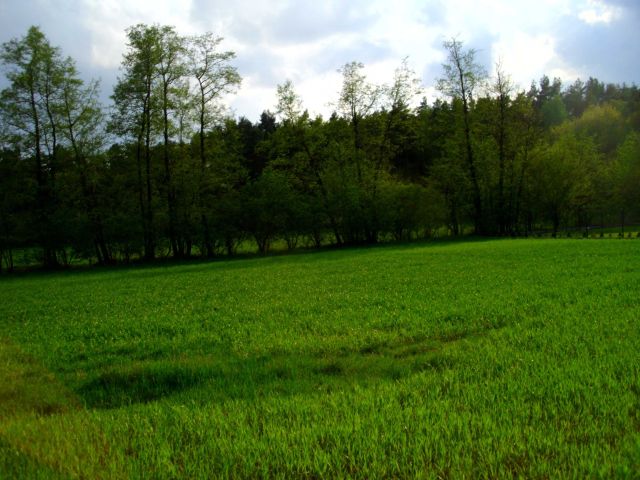 Działka rekreacyjna Skrzynka. Zdjęcie 1