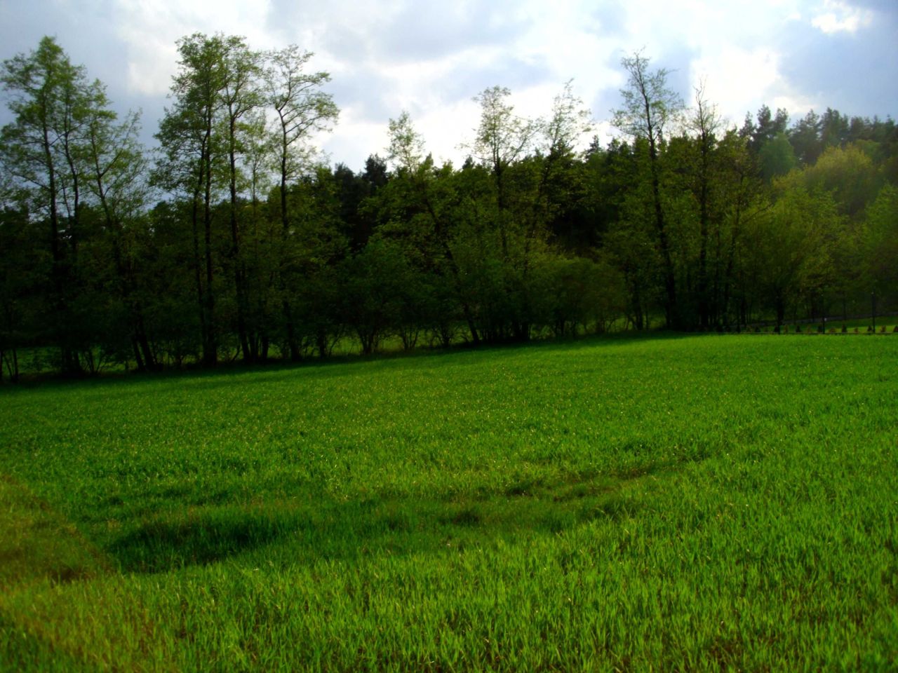 Działka rekreacyjna Skrzynka