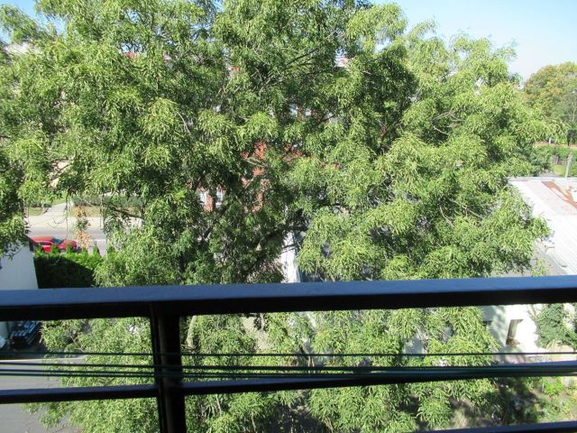 Mieszkanie 2-pokojowe Gliwice Śródmieście, ul. Ratowników Górniczych. Zdjęcie 14