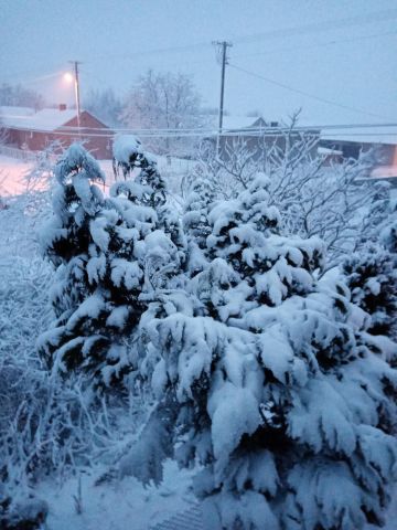 dom wolnostojący, 5 pokoi Wola Pobiedzińska. Zdjęcie 22