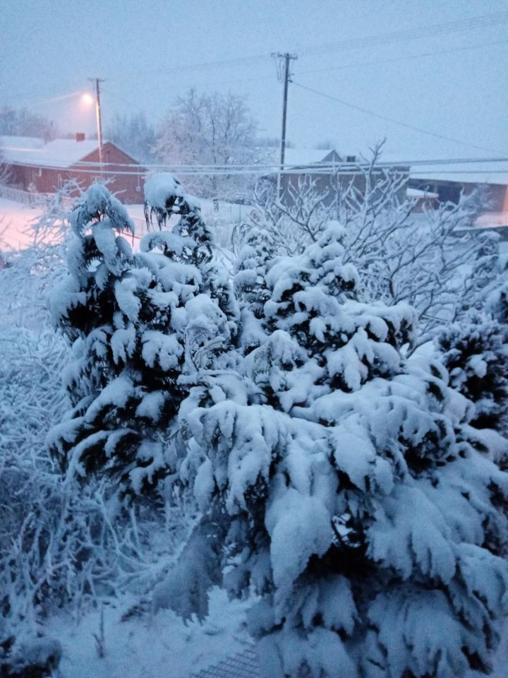 dom wolnostojący, 5 pokoi Wola Pobiedzińska. Zdjęcie 22