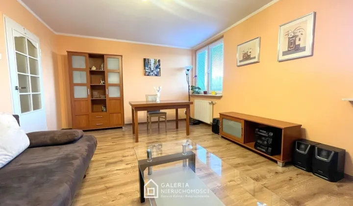 Mieszkanie 2-pokojowe Rybno Wielkie