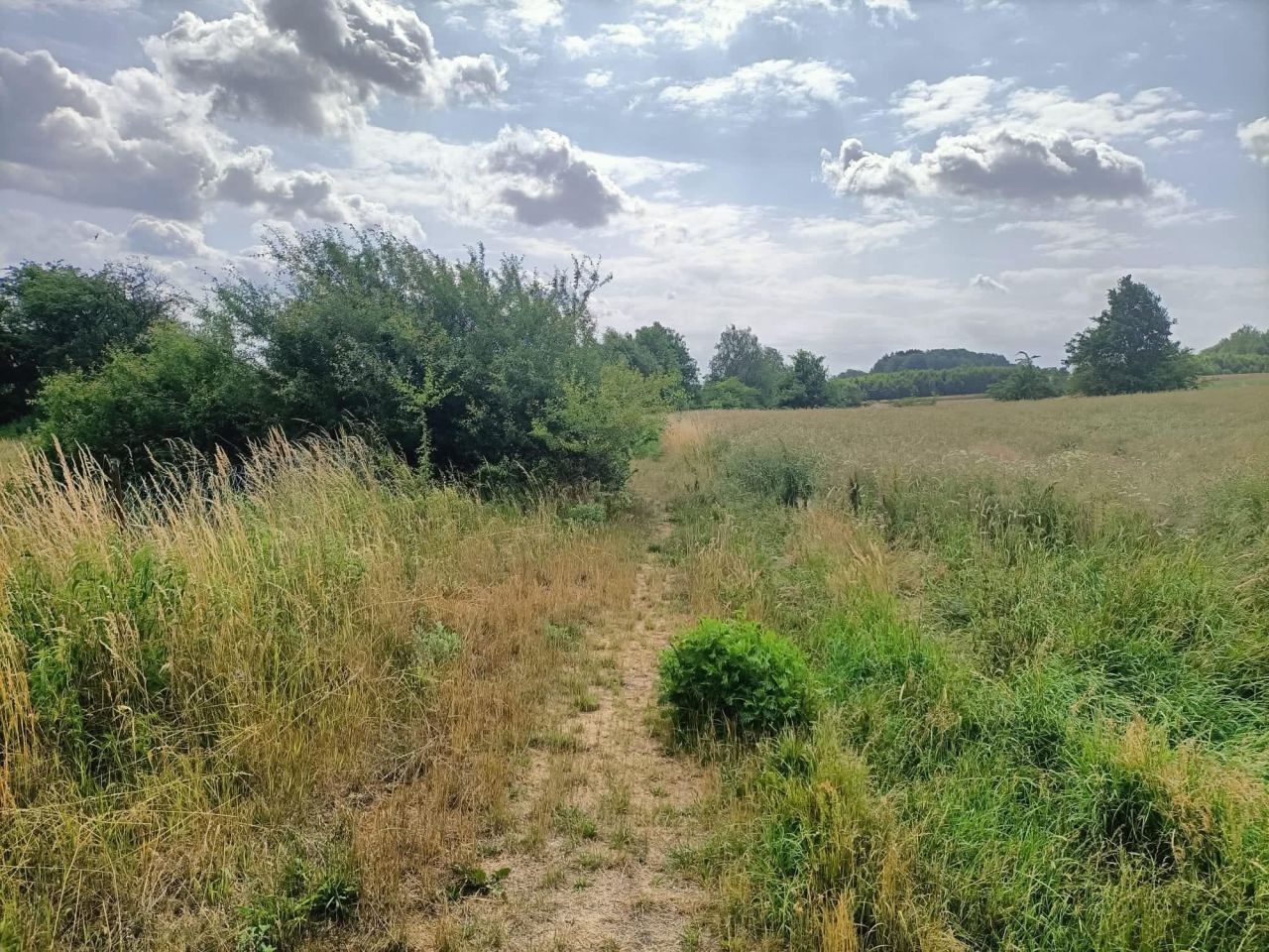 Działka budowlana Cieszeniewo. Zdjęcie 10