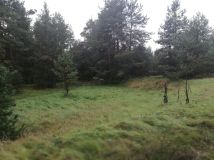 Działka budowlana Jasień. Zdjęcie 4