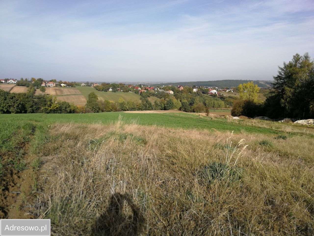 Działka budowlana Żerkowice, ul. Pod Sosną. Zdjęcie 3