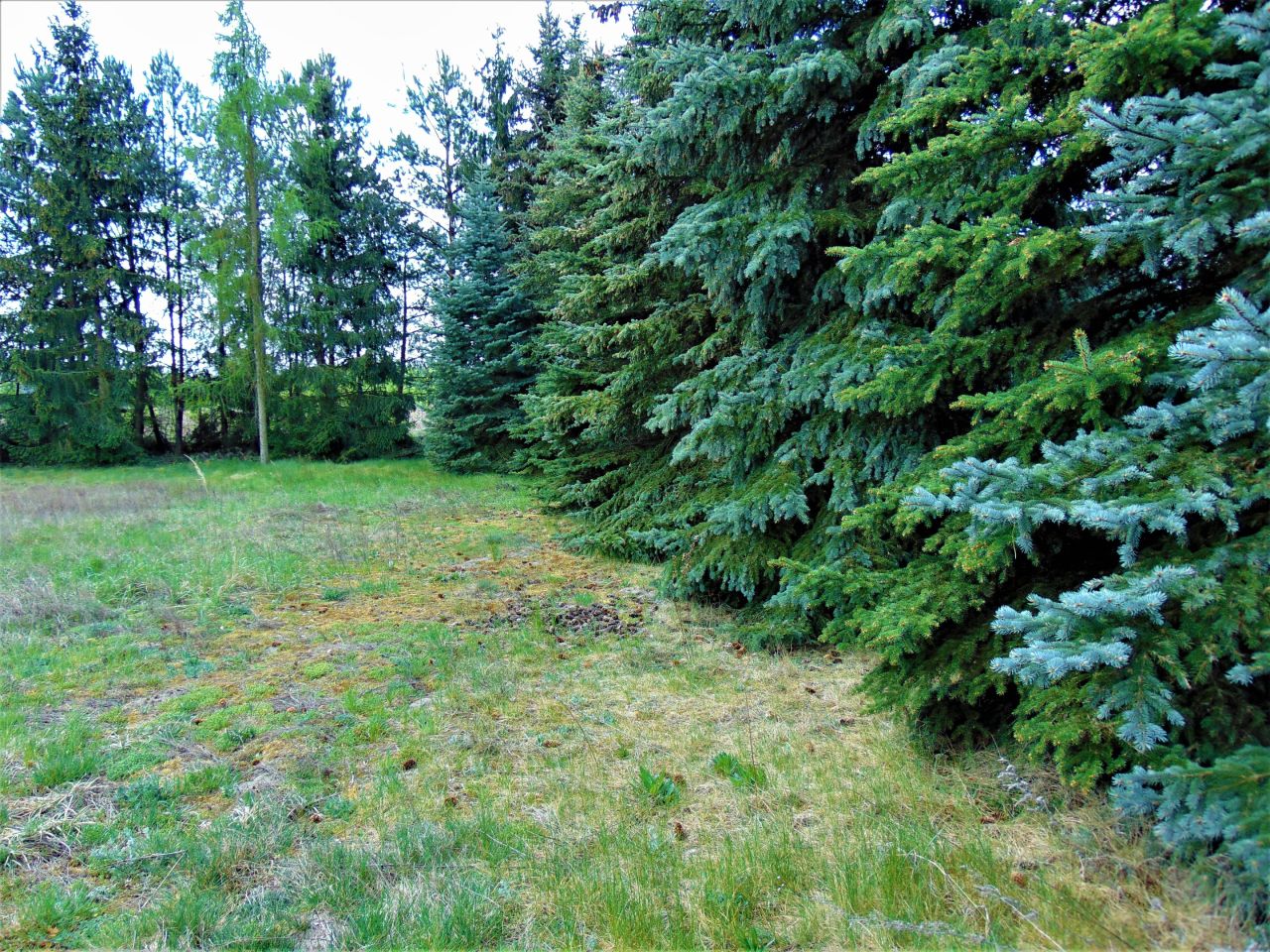 Działka inwestycyjna Kletnia, ul. Częstochowska. Zdjęcie 7