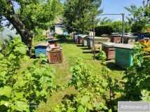 siedlisko Dołhobyczów. Zdjęcie 2