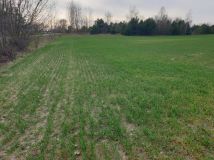 Działka budowlana Rawa. Zdjęcie 4