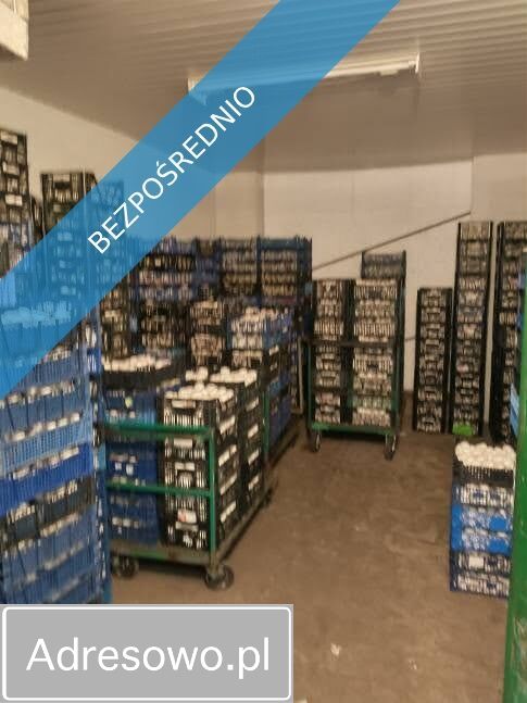 Lokal Stare Boryszewo. Zdjęcie 4