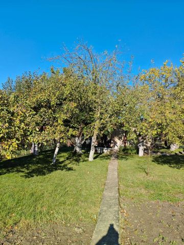 Działka rod Szczecin Gumieńce. Zdjęcie 1