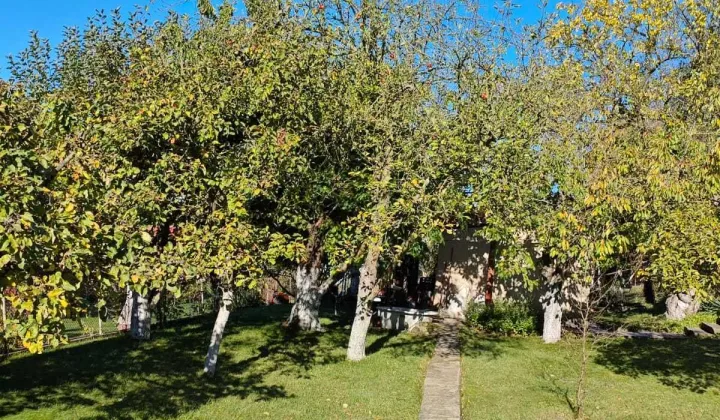 Działka rod Szczecin Gumieńce