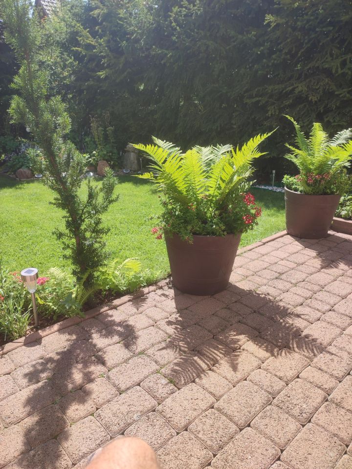 bliźniak, 4 pokoje Straszyn, ul. Równikowa. Zdjęcie 7