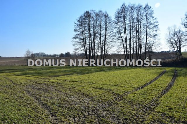 Działka rolna Mroga Górna. Zdjęcie 1
